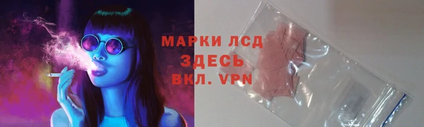 гидра Алексин