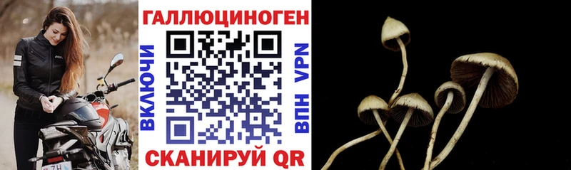 Галлюциногенные грибы мицелий  Чёрмоз 